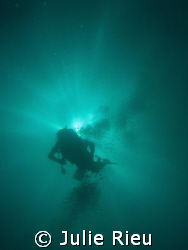 Shadow diver on the way back up, Mafia Island, Tanzania by Julie Rieu 